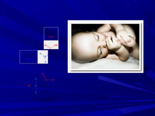Anomalias genéticas na espécie humana