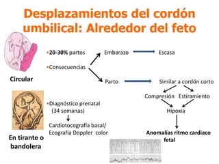 Desplazamientos del cordón
umbilical: Alrededor del feto
Circular
En tirante o
bandolera
•20-30% partos Embarazo Escasa
•Consecuencias
Parto Similar a cordón corto
Compresión Estiramiento
•Diagnóstico prenatal
(34 semanas) Hipoxia
Cardiotocografía basal/
Ecografía Doppler color Anomalías ritmo cardiaco
fetal
 
