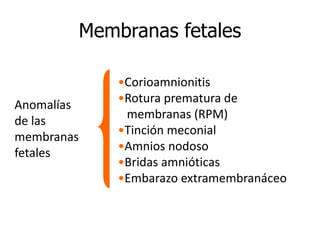 Membranas fetales
Anomalías
de las
membranas
fetales
•Corioamnionitis
•Rotura prematura de
membranas (RPM)
•Tinción meconial
•Amnios nodoso
•Bridas amnióticas
•Embarazo extramembranáceo
 