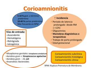 •5-10 % gest. a término/
pretérmino
•10-40 % partos pretérmino
•Más frecuente en RPM
Corioamnionitis
Periodo de latencia
prolongado desde RM
( ˃12h)
Oligoamnios
Maniobras diagnósticas o
terapeúticas
Trabajo de parto prolongado
Edad gestacional
↑ Incidencia
Vías de entrada:
−Ascendente
−Hematógena
−Retrógrada
−Iatrogénica
Corioamnionitis subclínica
Corioamnionitis histológica
Corioamnionitis clínica
•Micoplasmas genitales: Ureaplasma ueralyticum
•Aerobios gram +: Streptococcus agalactiae
•Aerobios gram - : E. coli
•Anaerobios: Bacteroides
RPM: Ruptura Prematura de Membrana.
 