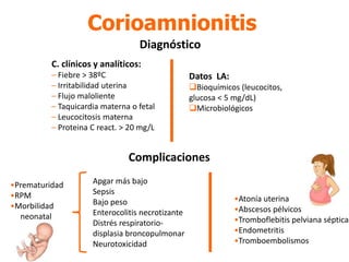Corioamnionitis
Diagnóstico
C. clínicos y analíticos:
– Fiebre ˃ 38ºC
– Irritabilidad uterina
– Flujo maloliente
– Taquicardia materna o fetal
– Leucocitosis materna
– Proteina C react. ˃ 20 mg/L
Datos LA:
Bioquímicos (leucocitos,
glucosa ˂ 5 mg/dL)
Microbiológicos
Complicaciones
•Prematuridad
•RPM
•Morbilidad
neonatal
Apgar más bajo
Sepsis
Bajo peso
Enterocolitis necrotizante
Distrés respiratorio-
displasia broncopulmonar
Neurotoxicidad
•Atonía uterina
•Abscesos pélvicos
•Tromboflebitis pelviana séptica
•Endometritis
•Tromboembolismos
 
