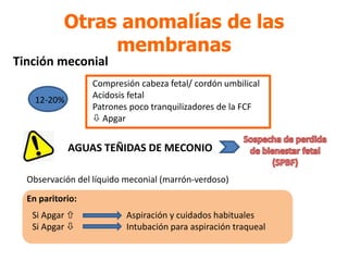 12-20%
Otras anomalías de las
membranas
AGUAS TEÑIDAS DE MECONIO
Observación del líquido meconial (marrón-verdoso)
Compresión cabeza fetal/ cordón umbilical
Acidosis fetal
Patrones poco tranquilizadores de la FCF
 Apgar
Tinción meconial
Si Apgar  Aspiración y cuidados habituales
Si Apgar  Intubación para aspiración traqueal
En paritorio:
 