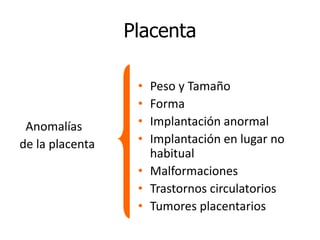 Placenta
Anomalías
de la placenta
• Peso y Tamaño
• Forma
• Implantación anormal
• Implantación en lugar no
habitual
• Malformaciones
• Trastornos circulatorios
• Tumores placentarios
 