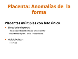 Placenta: Anomalías de la
forma
Placentas múltiples con feto único
• Bilobulada o bipartita
- Dos discos independientes de tamaño similar
-El cordón se implanta entre ambos lóbulos
• Multilobuladas
-Son raras
 