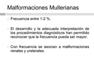  Frecuencia entre 1-2 %.
 El desarrollo y la adecuada interpretación de
los procedimientos diagnósticos han permitido
reconocer que la frecuencia pueda ser mayor.
 Con frecuencia se asocian a malformaciones
renales y ureterales.
Malformaciones Mullerianas
 