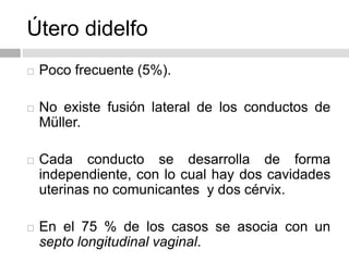 Útero didelfo
 Poco frecuente (5%).
 No existe fusión lateral de los conductos de
Müller.
 Cada conducto se desarrolla de forma
independiente, con lo cual hay dos cavidades
uterinas no comunicantes y dos cérvix.
 En el 75 % de los casos se asocia con un
septo longitudinal vaginal.
 