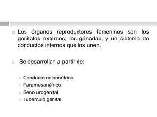  Los órganos reproductores femeninos son los
genitales externos, las gónadas, y un sistema de
conductos internos que los unen.
 Se desarrollan a partir de:
 Conducto mesonéfrico
 Paramesonéfrico
 Seno urogenital
 Tubérculo genital.
 