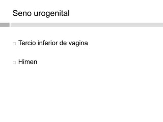 Seno urogenital
 Tercio inferior de vagina
 Himen
 