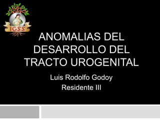 ANOMALIAS DEL
DESARROLLO DEL
TRACTO UROGENITAL
Luis Rodolfo Godoy
Residente III
 