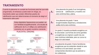 Anomalías Placentarias (Obstetricia).pptx