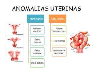 ANOMALIAS UTERINAS
Hereditarias
Tabiques
uterinos
Útero
bicorne
Útero
unicorne
Útero didelfo
Adquiridas
Pólipos
intrauterinos
Leiomiomas
Síndrome de
Asherman
 