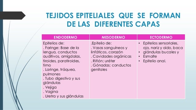 Anomalias y deformaciones en el tejido epitelial1