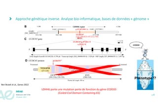 p. 18
Webinaire UMT STAR
19 janvier 2023
Approche génétique inverse. Analyse bio-informatique, bases de données « génome »...
