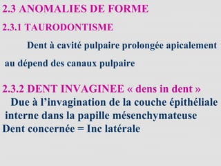 2.3 ANOMALIES DE FORME
2.3.1 TAURODONTISME
Dent à cavité pulpaire prolongée apicalement
au dépend des canaux pulpaire
2.3.2 DENT INVAGINEE « dens in dent »
Due à l’invagination de la couche épithéliale
interne dans la papille mésenchymateuse
Dent concernée = Inc latérale
 