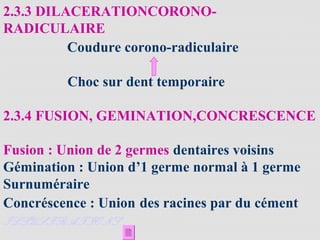 2.3.3 DILACERATIONCORONO-
RADICULAIRE
Coudure corono-radiculaire
Choc sur dent temporaire
2.3.4 FUSION, GEMINATION,CONCRESCENCE
Fusion : Union de 2 germes dentaires voisins
Gémination : Union d’1 germe normal à 1 germe
Surnuméraire
Concréscence : Union des racines par du cément
ILLUSTRATIONS
 