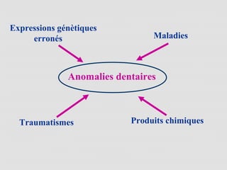 Anomalies dentaires
Traumatismes Produits chimiques
Maladies
Expressions génètiques
erronés
 