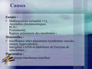 Causes

Fœtales :
• Malformations (urinaires ++),
  Anomalies chromosomiques,
  RCIU,
  Postmaturité,
  Rupture prématurée des membranes ;
Maternelles :
• Insuffisance utéro-placentaire (syndromes vasculo-
  rénaux, hypovolémie),
  Iatrogènes (AINS et inhibiteurs de l'enzyme de
  conversion) ;
Placentaires :
• Syndrome transfuseur-transfusé.
 