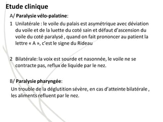 Etude clinique
A/ Paralysie vélo-palatine:
1 Unilatérale : le voile du palais est asymétrique avec déviation
du voile et de la luette du coté sain et défaut d’ascension du
voile du coté paralysé , quand on fait prononcer au patient la
lettre « A », c’est le signe du Rideau
2 Bilatérale: la voix est sourde et nasonnée, le voile ne se
contracte pas, reflux de liquide par le nez.
B/ Paralysie pharyngée:
Un trouble de la déglutition sévère, en cas d’atteinte bilatérale ,
les aliments refluent par le nez.
 
