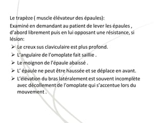 Le trapèze ( muscle élévateur des épaules):
Examiné en demandant au patient de lever les épaules ,
d’abord librement puis en lui opposant une résistance, si
lésion:
 Le creux sus claviculaire est plus profond.
 L’angulaire de l’omoplate fait saillie .
 Le moignon de l’épaule abaissé .
 L’ épaule ne peut être haussée et se déplace en avant.
 L’élévation du bras latéralement est souvent incomplète
avec décollement de l’omoplate qui s’accentue lors du
mouvement .
 