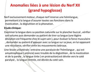 Anomalies liées à une lésion du Nerf XII
(grand hypoglosse)
Nerf exclusivementmoteur, chaque nerf innerve une hémilangue,
permettantà la langue d’assurer toutes ses fonctions dans la
mastication , la déglutition et la phonation.
Etude clinique:
Examiner la langue dans sa position naturelle sur le plancher buccal , vérifier
son volume puis demander au patient de tirer sa langue (une légère
déviation est fréquente chez le sujet sain ), pour évaluer la force musculaire
, demander au patient d’appuyer avec sa langue sur sa joue, en lui opposant
une résistance, vérifier enfin les mouvements latéraux.
Une lésion unilatérale : entraine une paralysiede l’hémilangue , qui est
amyotrophique ( amincie) avec trouble de la déglutition , de la mastication
et de la parole , la langue tirée ( en protraction)est déviée vers le coté
paralysé , la langue rentrée, est déviée du coté sain.
 