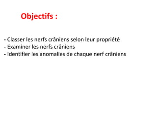 Objectifs :
- Classer les nerfs crâniens selon leur propriété
- Examiner les nerfs crâniens
- Identifier les anomalies de chaque nerf crâniens
 