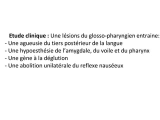 Etude clinique : Une lésions du glosso-pharyngien entraine:
- Une agueusie du tiers postérieur de la langue
- Une hypoesthésie de l’amygdale, du voile et du pharynx
- Une gène à la déglution
- Une abolition unilatérale du reflexe nauséeux
 