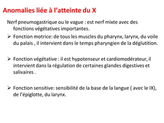 Anomalies liée à l’atteinte du X
Nerf pneumogastrique ou le vague : est nerf mixte avec des
fonctions végétatives importantes.
 Fonction motrice: de tous les muscles du pharynx, larynx, du voile
du palais , il intervient dans le temps pharyngien de la déglutition.
 Fonction végétative : il est hypotenseur et cardiomodérateur, il
intervient dans la régulation de certaines glandes digestives et
salivaires .
 Fonction sensitive: sensibilité de la base de la langue ( avec le IX),
de l’épiglotte, du larynx.
 