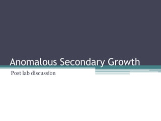 Anomalous Secondary Growth Post lab discussion 