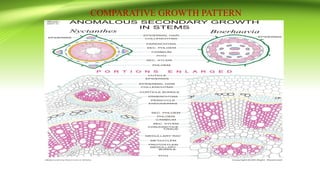 COMPARATIVE GROWTH PATTERN
 