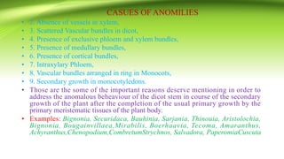 CASUES OF ANOMILIES
• 2. Absence of vessels in xylem,
• 3. Scattered Vascular bundles in dicot,
• 4. Presence of exclusive phloem and xylem bundles,
• 5. Presence of medullary bundles,
• 6. Presence of cortical bundles,
• 7. Intraxylary Phloem,
• 8. Vascular bundles arranged in ring in Monocots,
• 9. Secondary growth in monocotyledons.
• Those are the some of the important reasons deserve mentioning in order to
address the anomalous beheaviour of the dicot stem in course of the secondary
growth of the plant after the completion of the usual primary growth by the
primary meristematic tissues of the plant body.
• Examples: Bignonia, Securidaca, Bauhinia, Sarjania, Thinouia, Aristolochia,
Bignonia, Bougainvillaea,Mirabilis, Boerhaavia, Tecoma, Amaranthus,
Achyranthus,Chenopodium,CombretumStrychnos, Salvadora, PaperomiaCuscuta
 