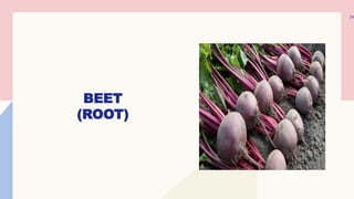 BEET
(ROOT)
24
 