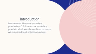 Introduction
Anomalous or Abnormal secondary
growth doesn’t follow normal secondary
growth in which vascular cambium produces
xylem on inside and phloem on outside.
 