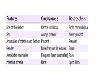 Repeat Anomaly Scan Rates ANOMALY SCAN checklists and abnormalities | PPTX