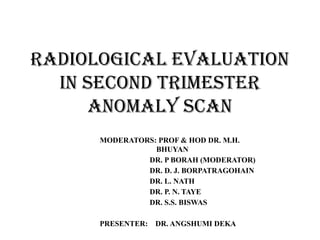 Anomaly Scan 3d Report.pdf ANOMALY SCAN checklists timing visualisation | PPTX