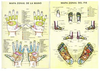 Anon   reflexologia mapas manos y pies