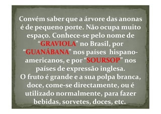 Convém saber que a árvore das anonas
é de pequeno porte. Não ocupa muito
  espaço. Conhece-se pelo nome de
       “GRAVIOLA” no Brasil, por
 “GUANÁBANA” nos países hispano-
  americanos, e por “SOURSOP” nos
      países de expressão inglesa.
O fruto é grande e a sua polpa branca,
  doce, come-se directamente, ou é
  utilizado normalmente, para fazer
     bebidas, sorvetes, doces, etc.
 