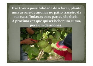 E se tiver a possibilidade de o fazer, plante
uma árvore de anonas no pátio traseiro da
 sua casa. Todas as suas partes são úteis.
A próxima vez que quiser beber um sumo,
             peça um de anonas.
 