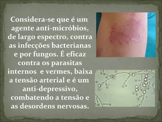 Considera-se que é um  agente anti-micróbios, de largo espectro, contra as infecções bacterianas e por fungos. É eficaz contra os parasitas internos  e vermes, baixa a tensão arterial e é um  anti-depressivo, combatendo a tensão e as desordens nervosas. 