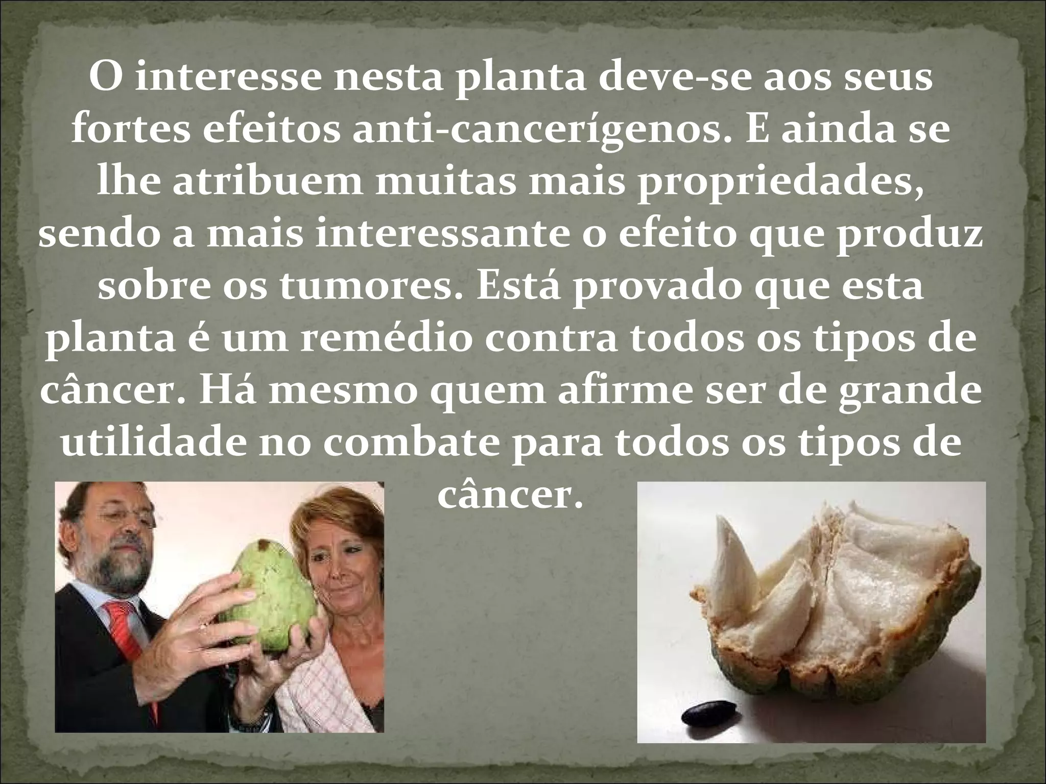 O interesse nesta planta deve-se aos seus fortes efeitos anti-cancerígenos. E ainda se lhe atribuem muitas mais propriedades, sendo a mais interessante o efeito que produz sobre os tumores. Está provado que esta planta é um remédio contra todos os tipos de câncer. Há mesmo quem afirme ser de grande utilidade no combate para todos os tipos de câncer. 