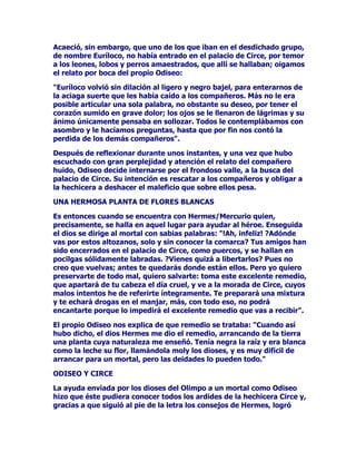 TXLHQDGHPiV
GHVXJDOODUGRSRUWHGHVXDWUDFWLYRItVLFRUHXQtDFXDOLGDGHVSRU
HMHPSORUHODFLRQDGDVFRQODP~VLFDQRLJXDODGDVSRUQDGLHKDVWD
HQWRQFHV6XPLVPRSDGUHKDEtDVLGRXQUHQRPEUDGRP~VLFRSRUOR
PLVPRKDEtDWUDVSDVDGRHVWDDILFLyQDVXKLMR7iPLULV

XHQWDQODVOHHQGDVTXHHQFXDQWR$SRORVHFRQVWLWXyHQULYDOVXR
SXHVWRTXHDPERVVHGLVSXWDEDQODDPLVWDGGHOHIHER-DFLQWR+LDFLQWR
VHGHGLFyDODQ]DULQIXQGLRVFRQHOILQGHGHVDFUHGLWDUOHDQWHRWURV
P~VLFRVDQWHHOSURSLRHIHER/DVFDOXPQLDVGHOGLRVHVWDEDQPX
ELHQXUGLGDVSXHVPHQFLRQDEDQODVXSHULRULGDGGHODYR]HOFDQWRGH
7iPLULVVREUHODSURSLDHQWRQDFLyQGHODV0XVDVFXDQGRHVVDELGRTXH
QDGLHSXHGHFRPSHWLUFRQHOODVHQQLQJ~QDVSHFWRDUWtVWLFR

/DV0XVDVWRPDURQUHSUHVDOLDVDQWHVHPHMDQWHDWUHYLPLHQWRHQXQRV
LQVWDQWHVGHVFDUJDURQFUXHOFDVWLJRVREUHHOGHVYHQWXUDGR7iPLULV
(VWHSRUKDEHUSURSDODGRVHJ~QHOLQIXQGLRGH$SRORTXHpOHUDFDSD]
GHYHQFHUDODV0XVDVFRQVXPHORGLRVDYR]IXHDOFDQ]DGRSRUORV
PDOHVTXHDTXpOODVOHHQYLDURQSHUGLyODYLVWDHOKDEODKDVWDOD
PHPRULD

'HHVWHPRGRHOGLRV$SRORVHTXLWyGHHQPHGLROLPSLDPHQWHSRUDVt
GHFLUORDXQSHOLJURVRULYDOHQORVXFHVLYRSRGUtDJR]DUGHODDQVLDGD
FRPSDxtDGHVXDPDGRDPLJR-DFLQWR+LDFLQWR

0DVVXUHFLpQHVWUHQDGDDOHJUtDSURQWRVHYROYLyWULVWH]DSHQDDTXH
FLHUWRGtDVHKDOODEDQDPERVSUDFWLFDQGRHOODQ]DPLHQWRGHOGLVFR
 