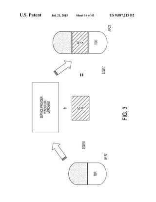 Anonos U.S. Patent Number 9,087,215