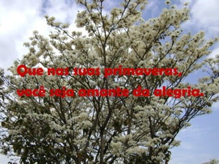 Que nas suas primaveras,
você seja amante da alegria.