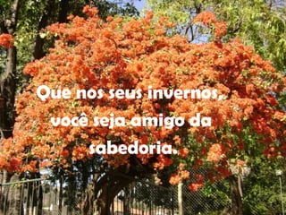 Que nos seus invernos,
você seja amigo da
sabedoria.