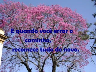 E quando você errar o
caminho,
recomece tudo de novo.