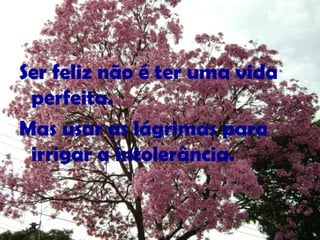 Ser feliz não é ter uma vida
perfeita.
Mas usar as lágrimas para
irrigar a intolerância.