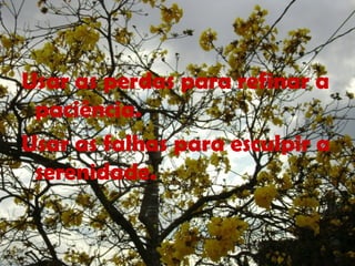 Usar as perdas para refinar a
paciência.
Usar as falhas para esculpir a
serenidade.