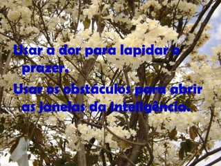 Usar a dor para lapidar o
prazer.
Usar os obstáculos para abrir
as janelas da inteligência.