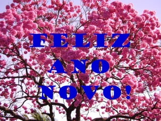 Feliz
ANO
NOVO!