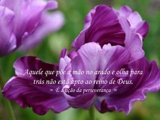 Aquele que põe a mão no arado e olha para
trás não está apto ao reino de Deus.
= É a lição da perseverança =
 