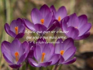 Aquele que quer ser o maior
que seja o que mais serve.
= É a lição da caridade =
 